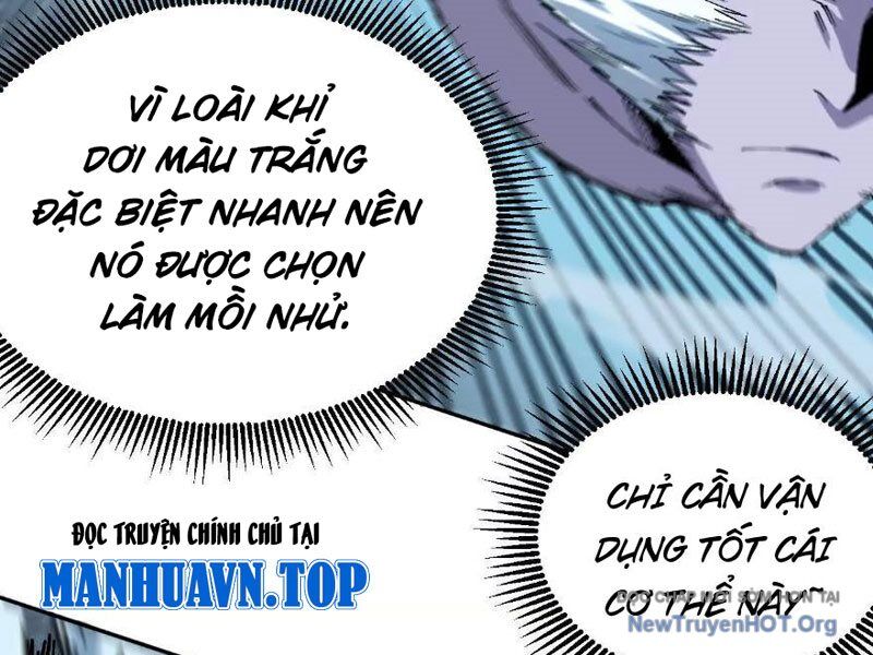 Tiên Vương Thú Liệp Pháp Tắc Chapter 4 - Next Chapter 5