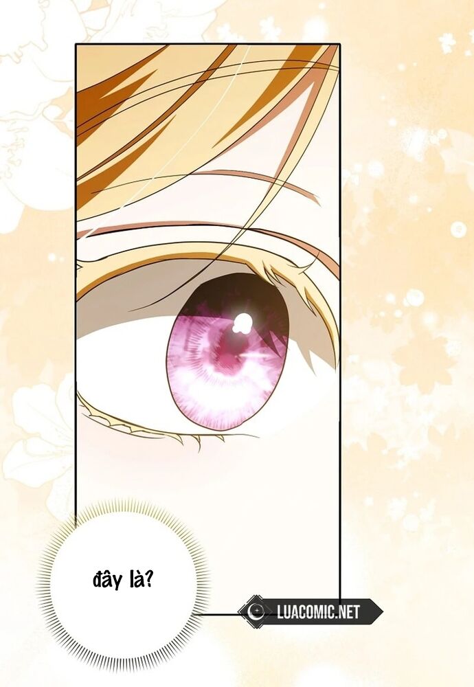 Tôi Chỉ Muốn Ngủ Riêng! Chapter 17 - Next Chapter 18