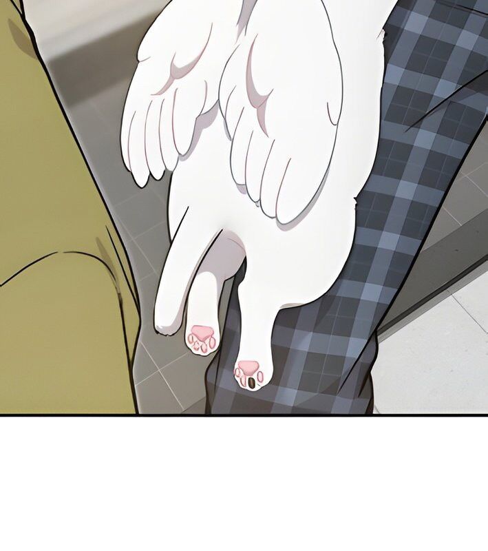 Chào Nhé Griffin Mắt Tròn! Chapter 4 - Trang 2