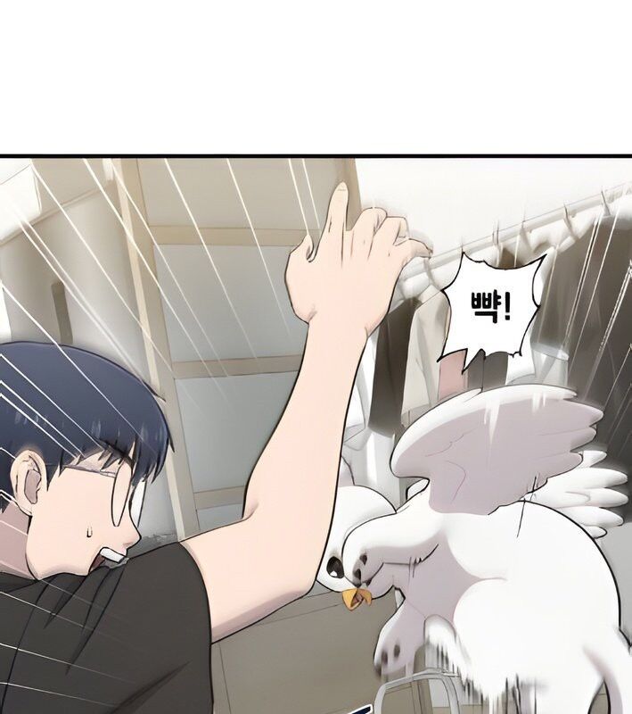 Chào Nhé Griffin Mắt Tròn! Chapter 4 - Trang 2