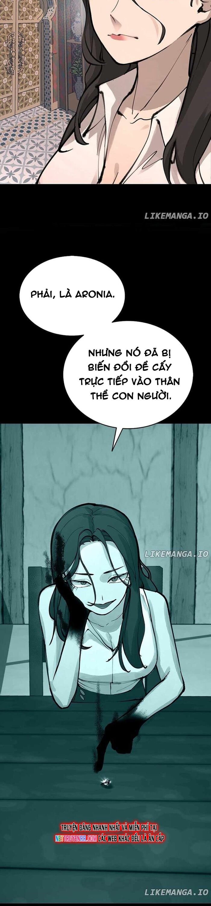 Ngọn Lửa Của Hòa Bình Chapter 41 - Next Chapter 42