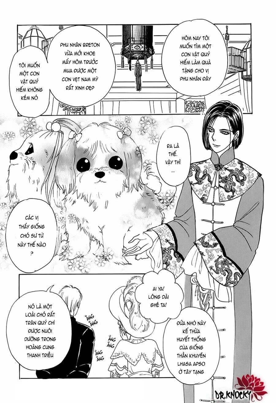 Petshop Of Horrors: Passage-Hen Chapter 1 - Next Chapter 2