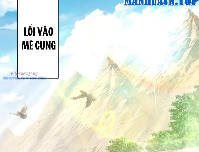 Phá Kiếp Chi Huy: Được Lão Đại Bảo Kê Chapter 12 - Trang 2