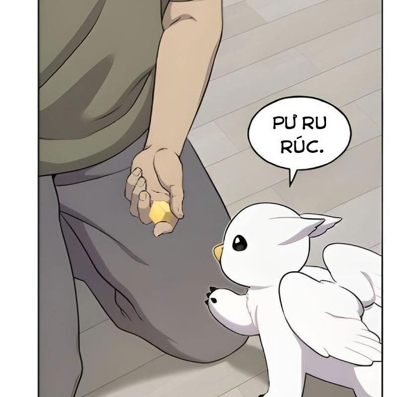 Chào Nhé Griffin Mắt Tròn! Chapter 3 - Trang 2