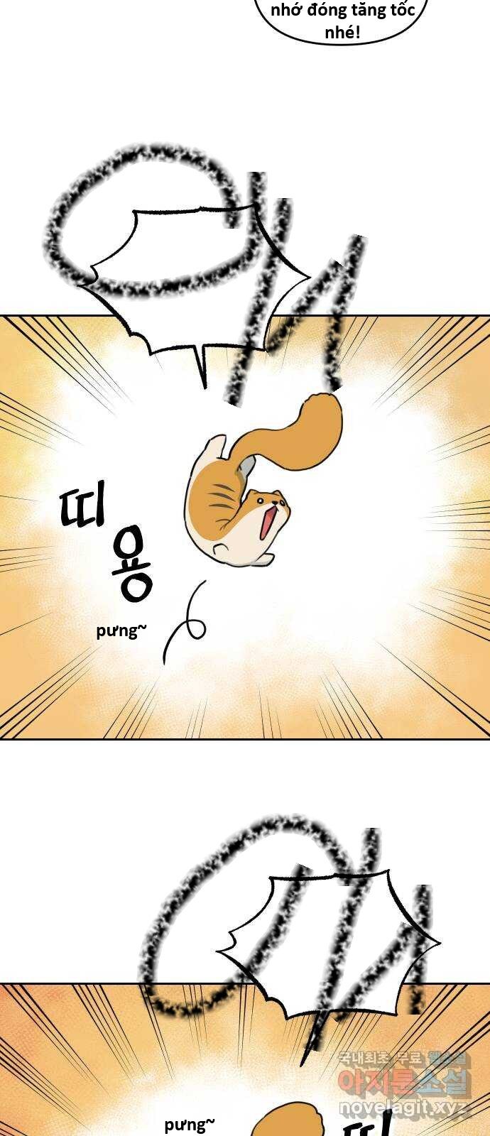 Hổ Đến Chơi Nhà (Puchimasu Miếu) Chapter 147 - Trang 2