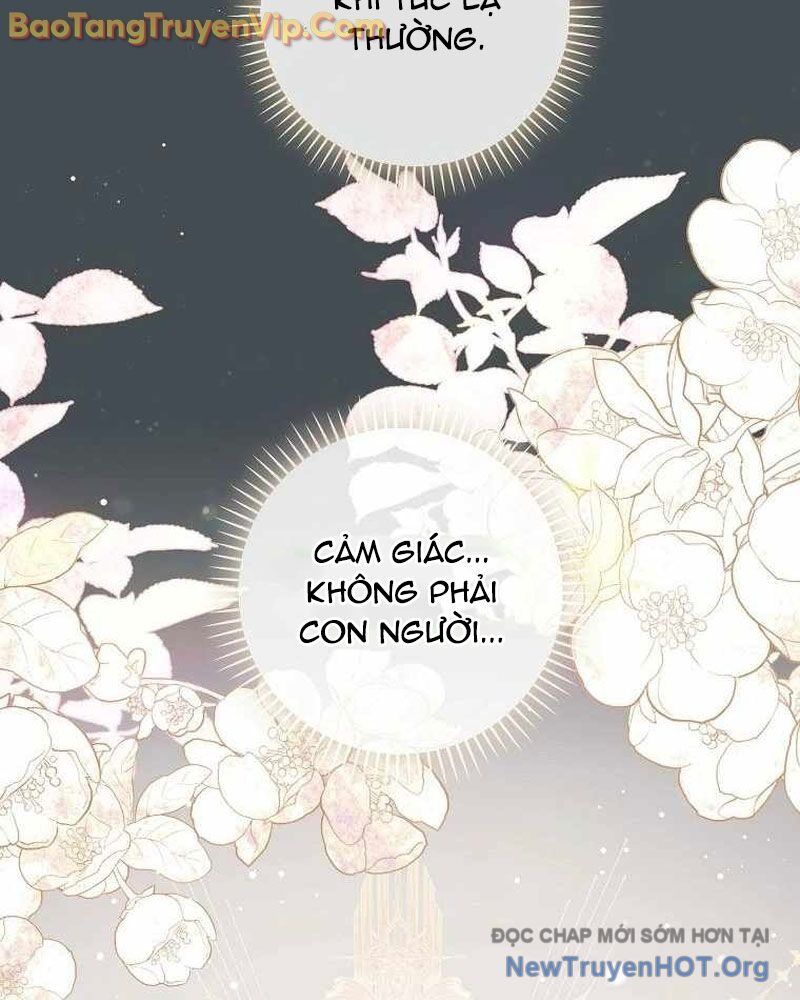 Ma Pháp Quân Chủ Chapter 5 - Next Chapter 6