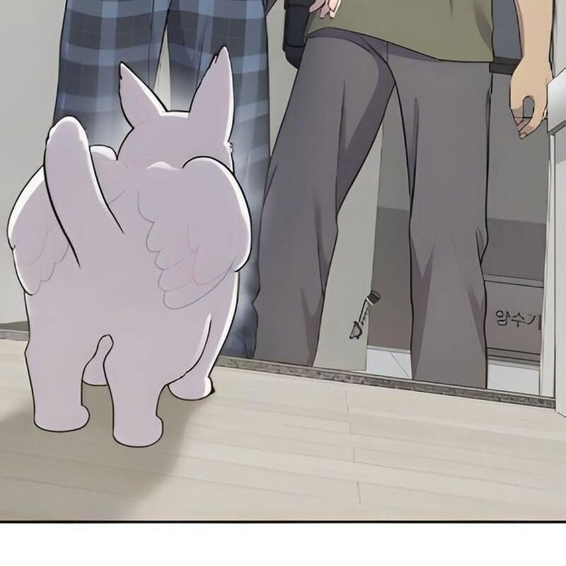 Chào Nhé Griffin Mắt Tròn! Chapter 3 - Trang 2
