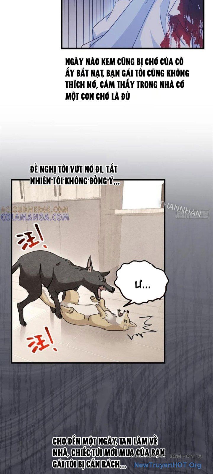 Hóa Ra Ta Là Đời Sau Của Yêu Quái Chapter 22 - Next Chapter 23