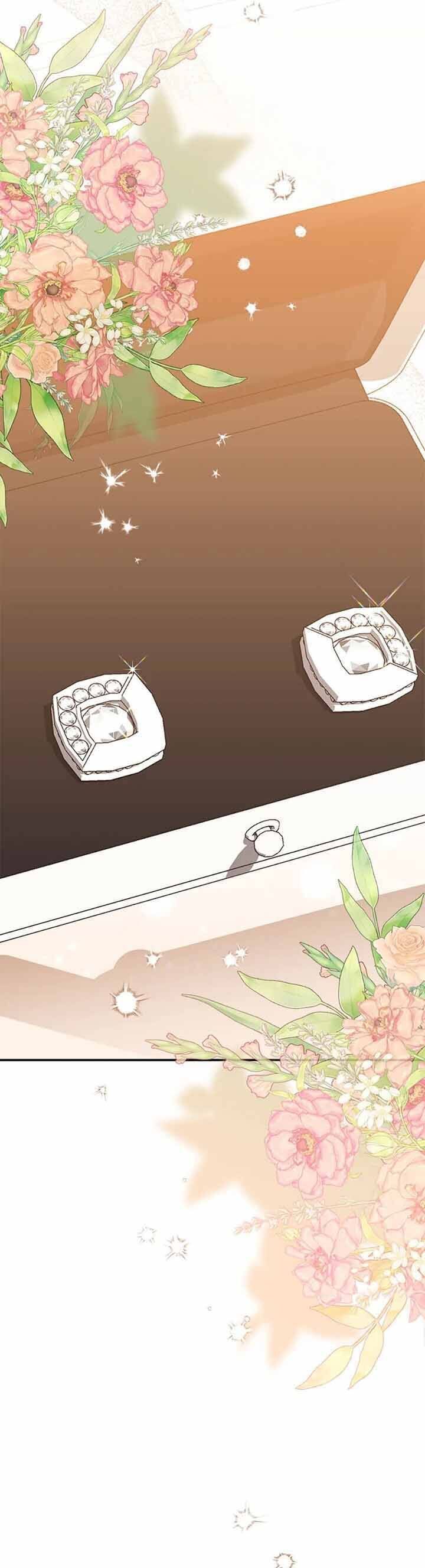 Please Divorce Me Chapter 44 - Next Chapter 45
