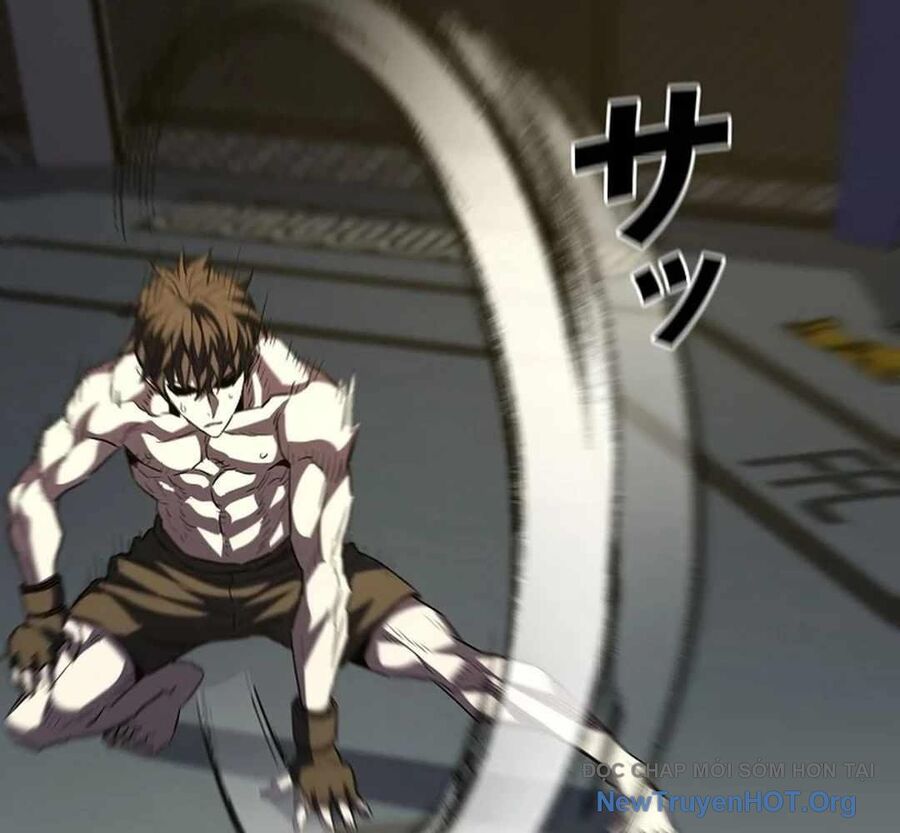 Ác Nhân Lồng Bát Giác Chapter 15 - Next Chapter 16