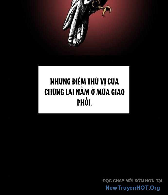 Cửu Vân Mộng Khởi Nguyên Chapter 4 - Next Chapter 5