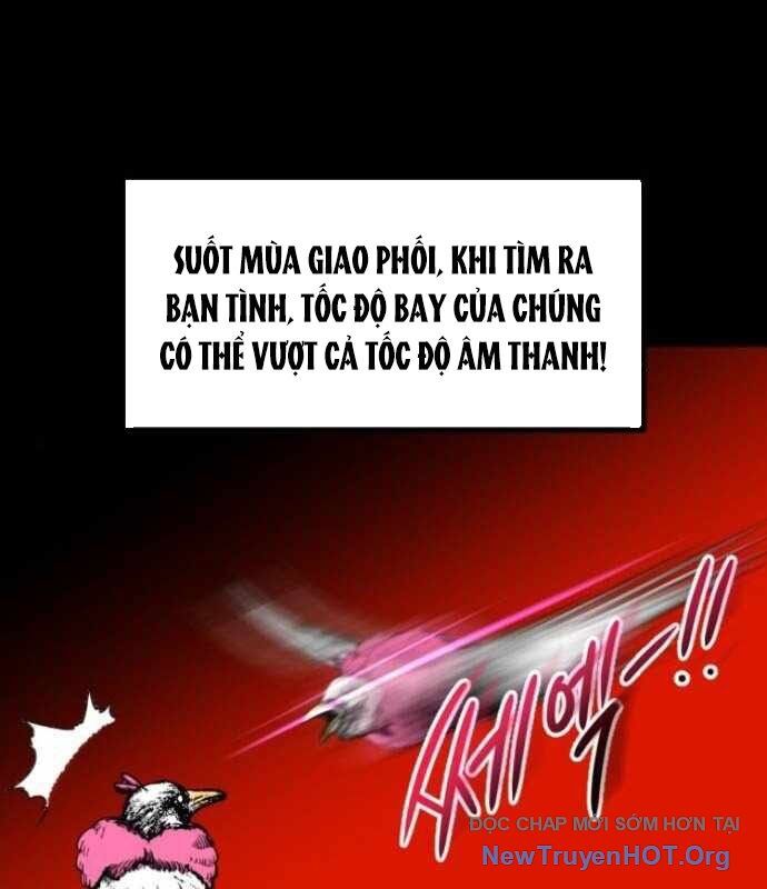 Cửu Vân Mộng Khởi Nguyên Chapter 4 - Next Chapter 5
