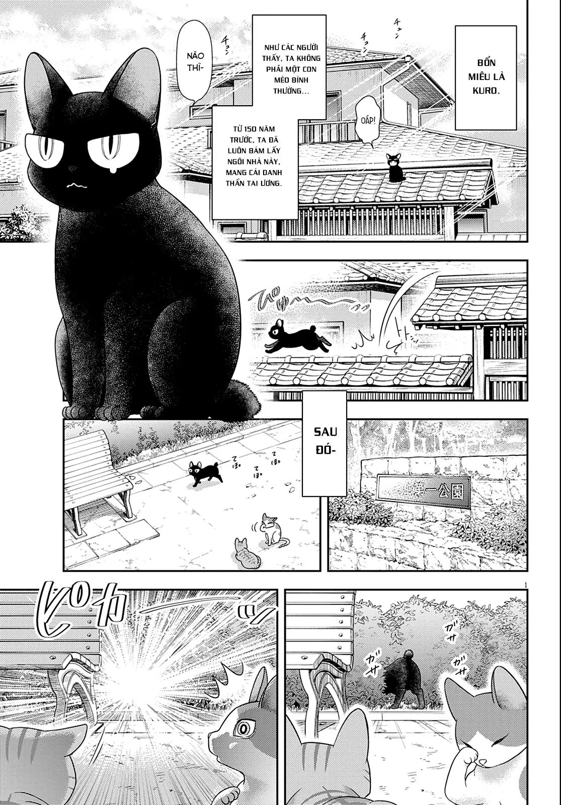 Tôi Rủa Nhà Cậu 7 Đời Đấy, Hãy Mau Kết Hôn Đi! Chapter 7 - Next 