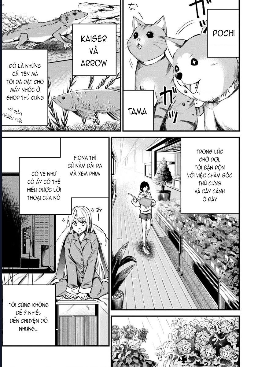 Bị Triệu Hồi Cùng Với Home Center, Tôi Bắt Tay Cải Tạo Đại Mê Cung! Chapter 3.1 - Next Chapter 3.2