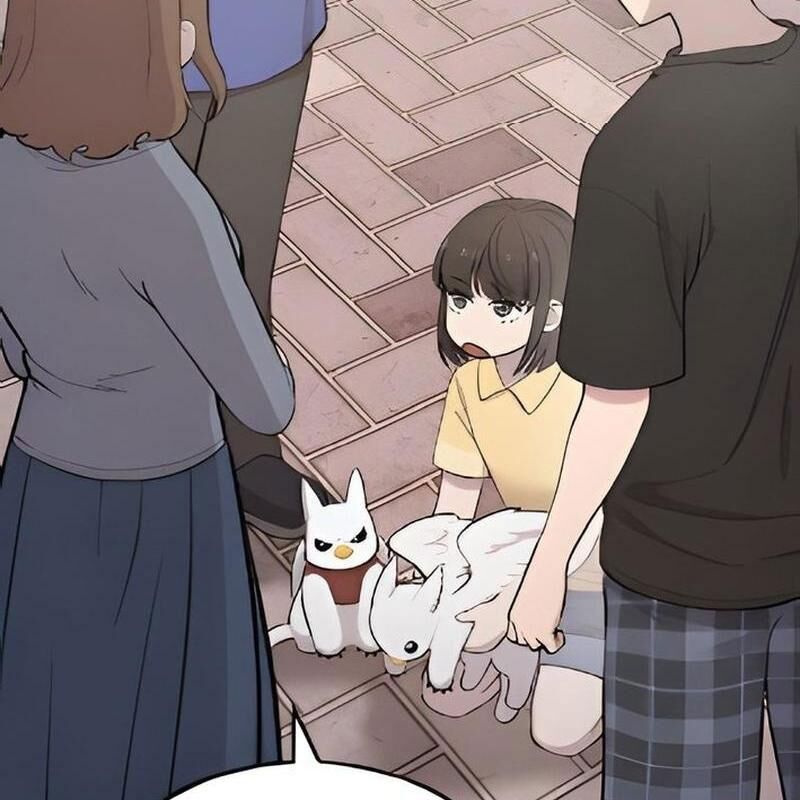 Chào Nhé Griffin Mắt Tròn! Chapter 2 - Trang 2