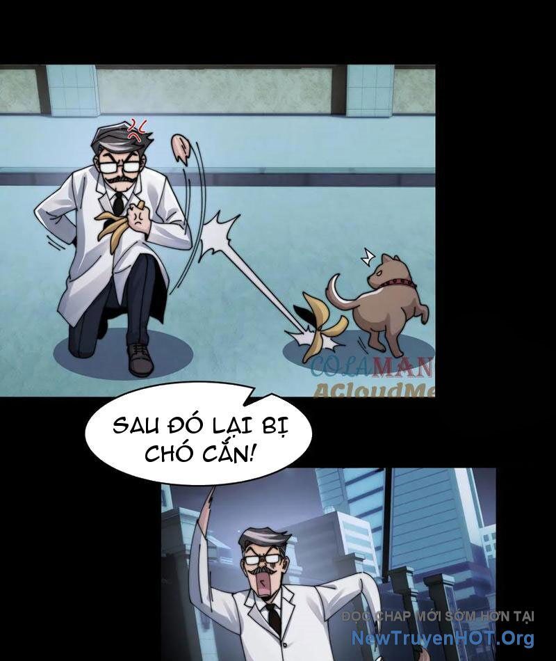 Đối Mặt Với Bệnh Tâm Thần, Ma Quỷ Chẳng Là Cái Thá Gì Chapter 141 - Next Chapter 142