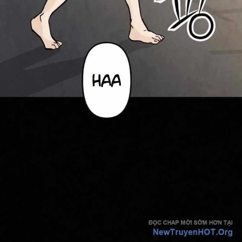 Sự bí ẩn của học sinh chuyển trường Chapter 11 - Next Chapter 12