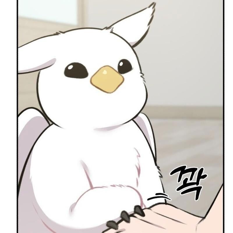 Chào Nhé Griffin Mắt Tròn! Chapter 1 - Trang 2
