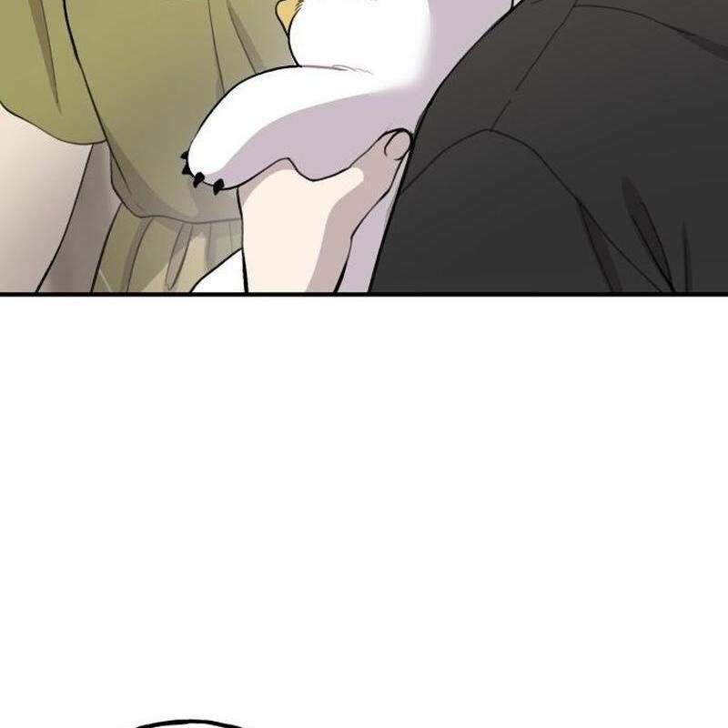 Chào Nhé Griffin Mắt Tròn! Chapter 1 - Trang 2