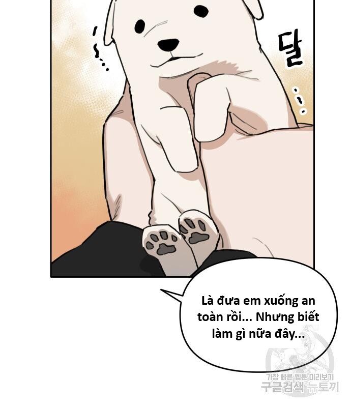 Hổ Đến Chơi Nhà (Puchimasu Miếu) Chapter 146 - Trang 2