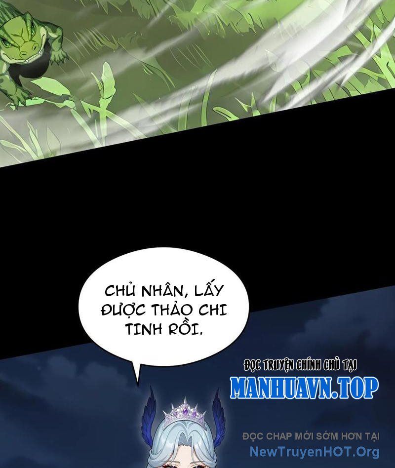 Thái Cổ Thập Hung: Người Khác Ngự Thú Ta Ngự Thú Nương Chapter 22 - Next Chapter 23