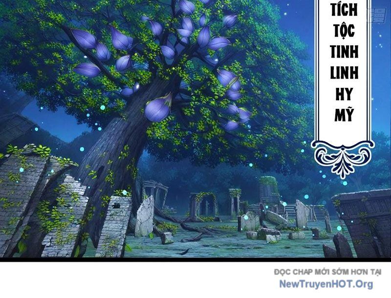 Ta Làm Npc Ở Dị Giới Chapter 17 - Trang 2