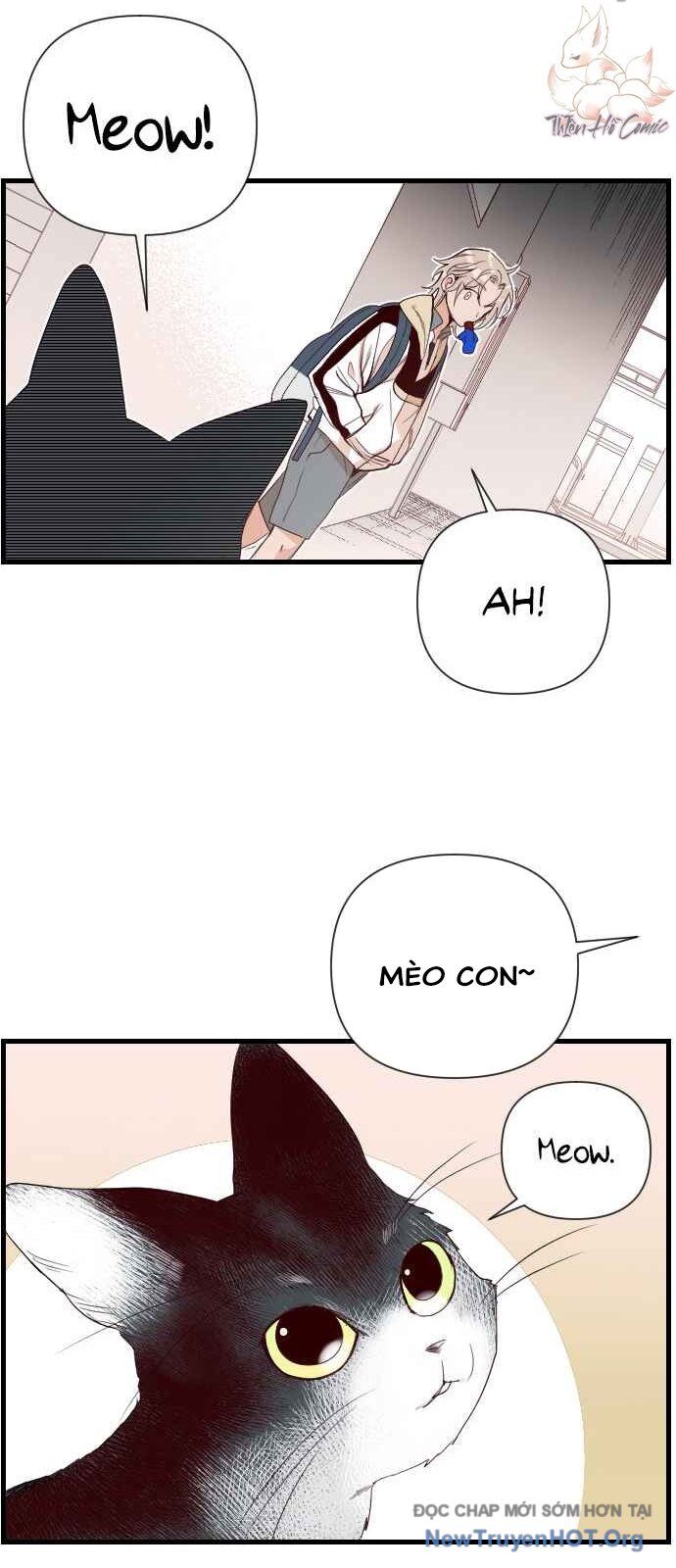 Cú Bắn Quỷ Chapter 2 - Next Chapter 3