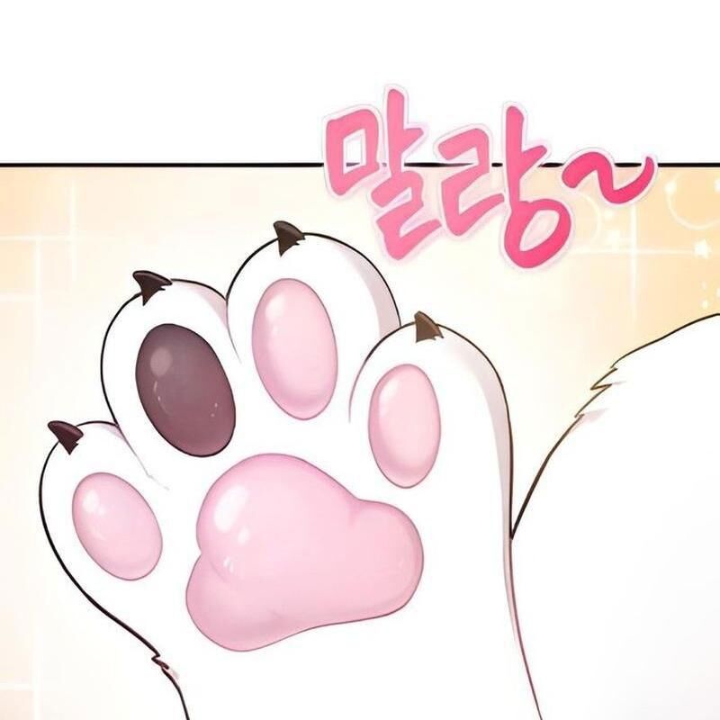 Chào Nhé Griffin Mắt Tròn! Chapter 2 - Trang 2