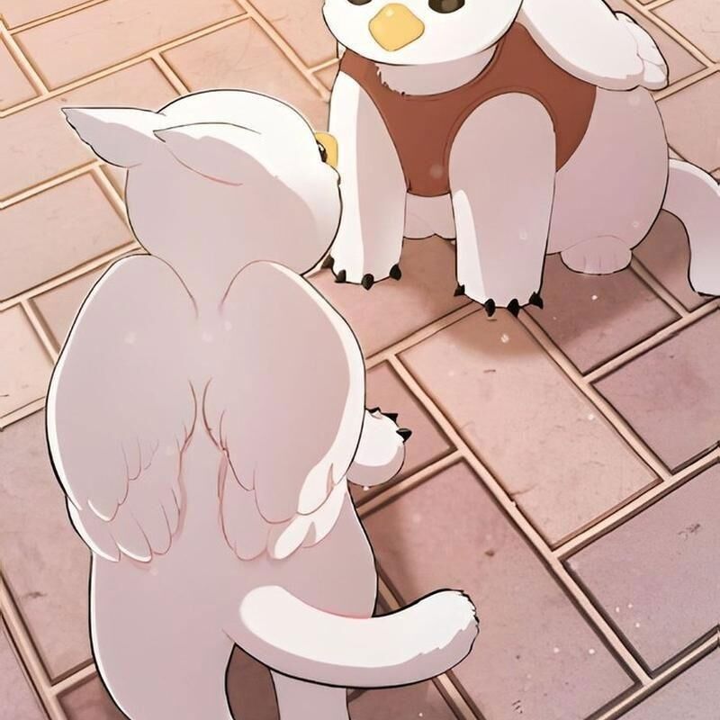 Chào Nhé Griffin Mắt Tròn! Chapter 2 - Trang 2