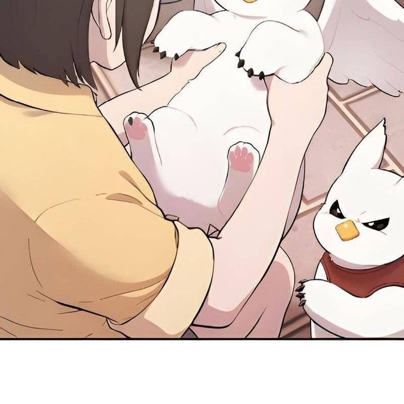 Chào Nhé Griffin Mắt Tròn! Chapter 2 - Trang 2
