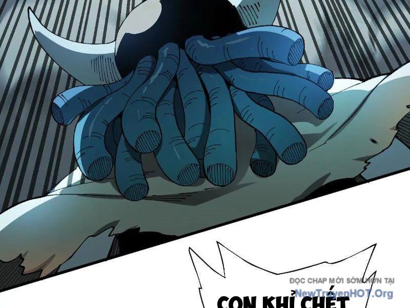 Tiên Vương Thú Liệp Pháp Tắc Chapter 5 - Next Chapter 6