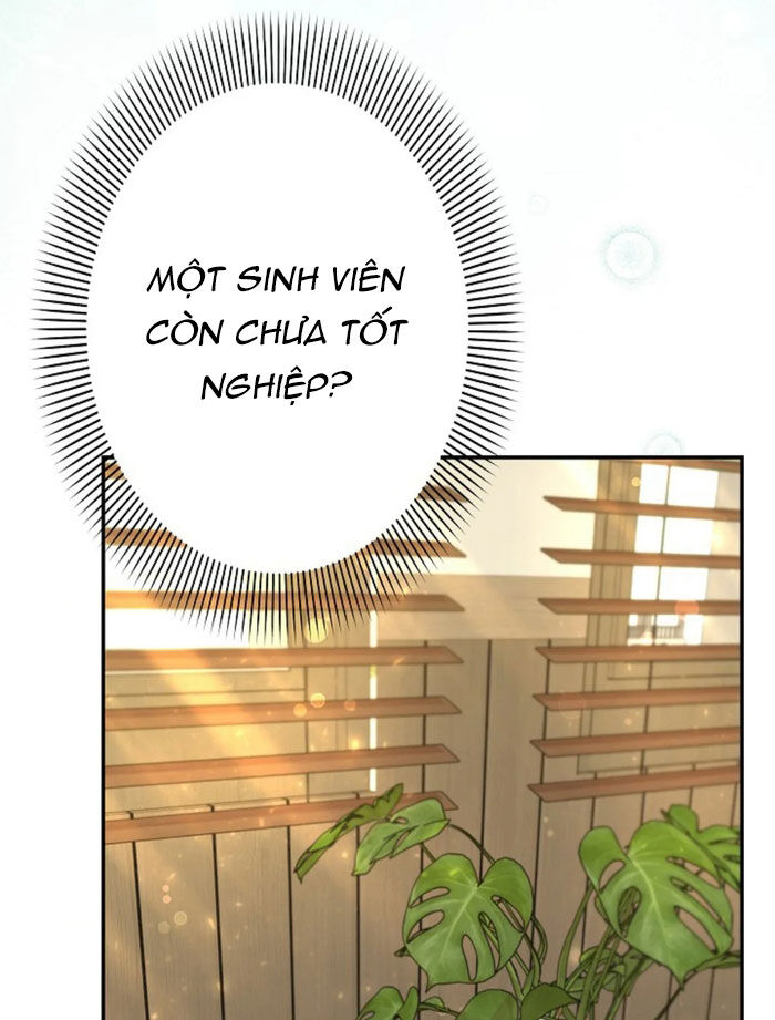 Sự Tái Sinh Của Nhà Thiết Kế Tài Ba Chapter 21 - Trang 2