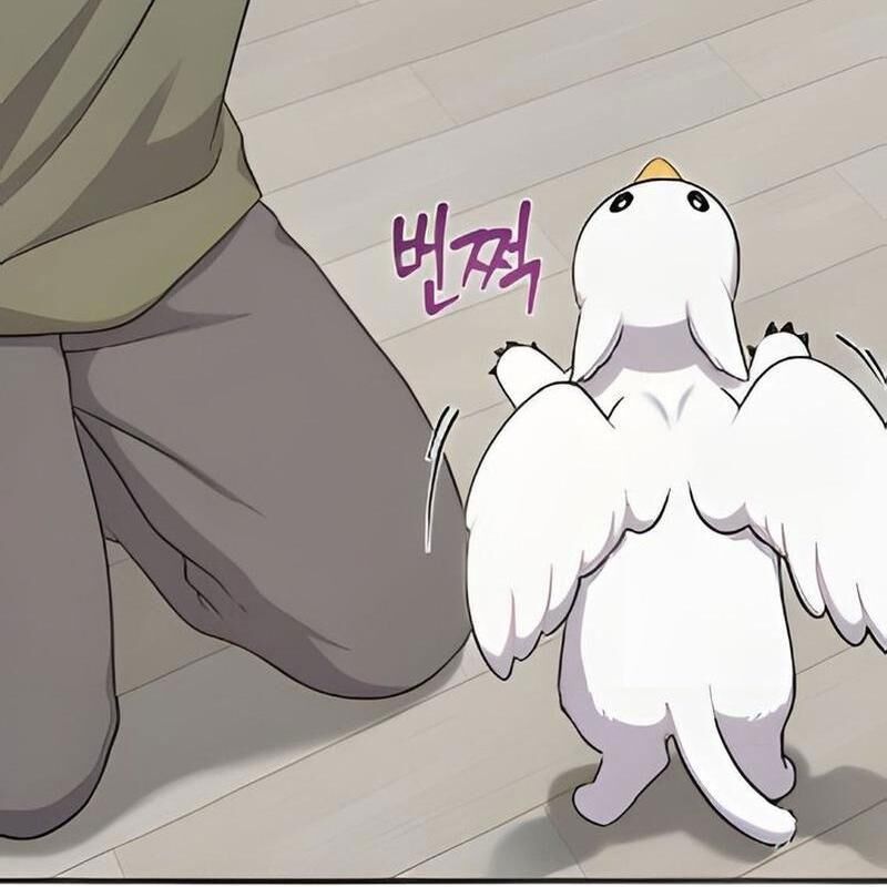 Chào Nhé Griffin Mắt Tròn! Chapter 3 - Trang 2