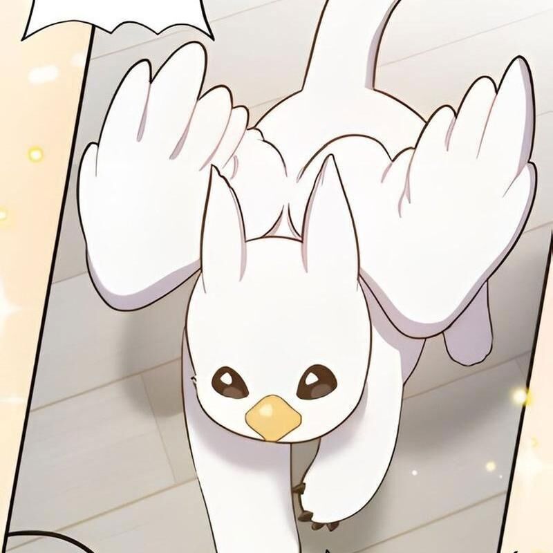 Chào Nhé Griffin Mắt Tròn! Chapter 3 - Trang 2