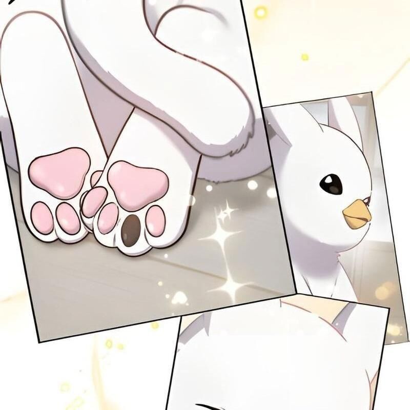 Chào Nhé Griffin Mắt Tròn! Chapter 3 - Trang 2
