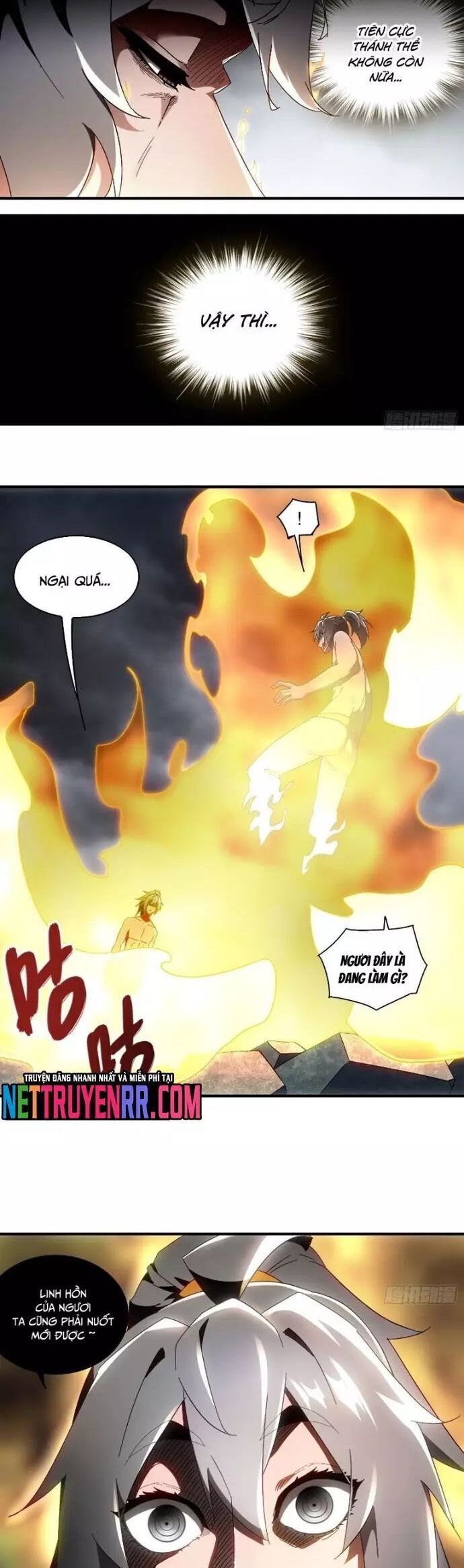 Tuyệt Sắc Đạo Lữ Đều Nói Ngô Hoàng Thể Chất Vô Địch Chapter 400 - Trang 2