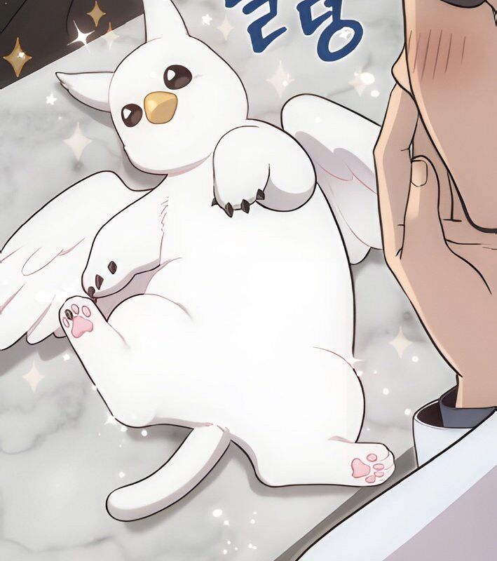 Chào Nhé Griffin Mắt Tròn! Chapter 4 - Trang 2