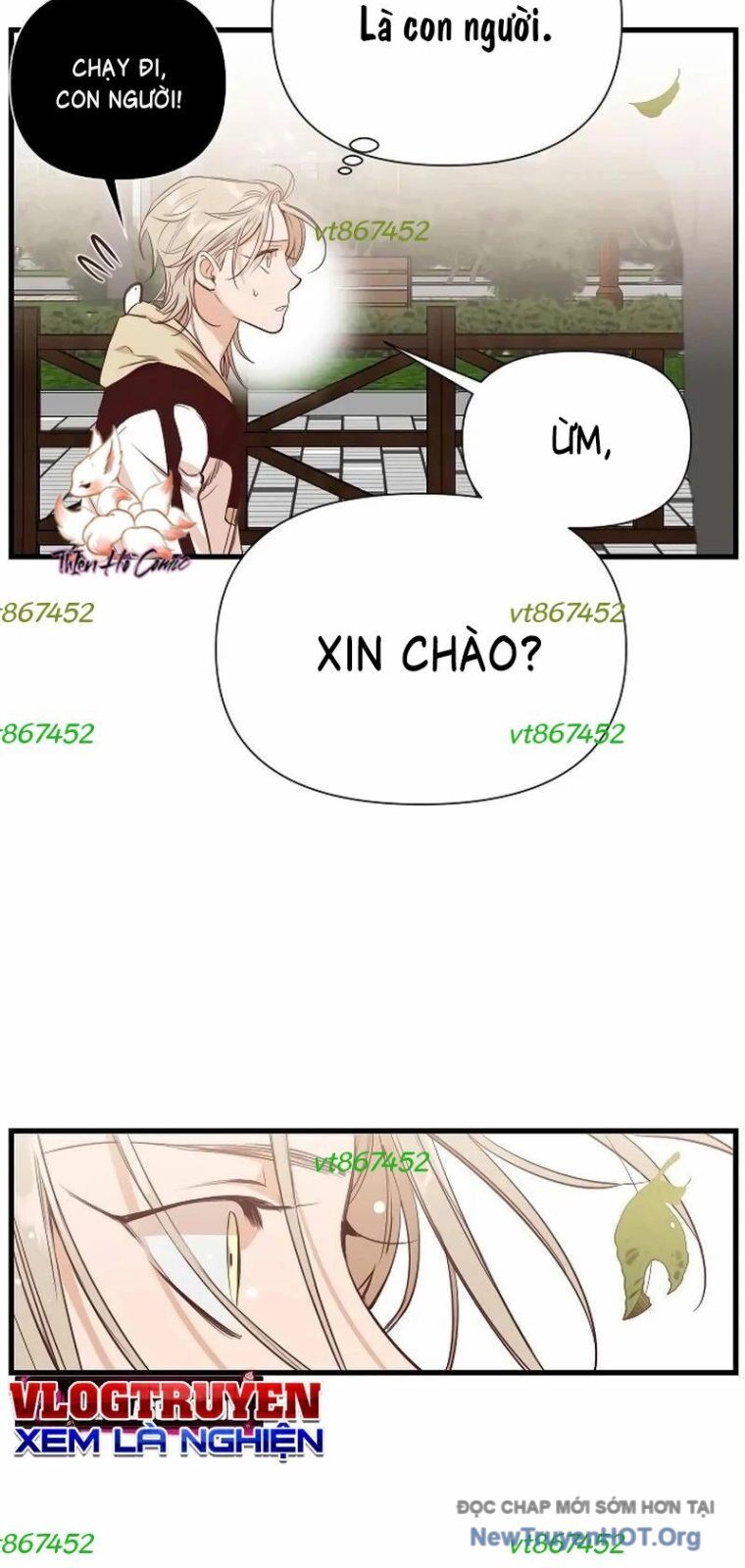 Cú Bắn Quỷ Chapter 4 - Trang 2