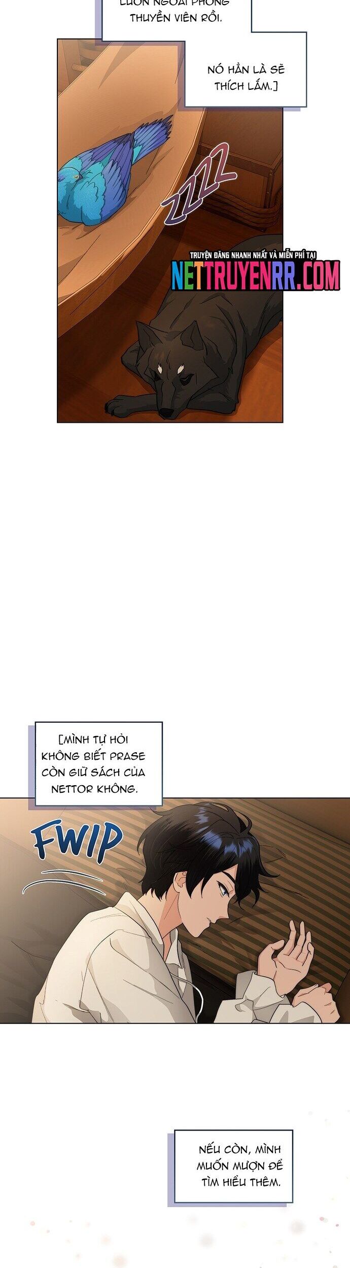 Hải Âu & Sói Hoang Chapter 24 - Trang 2