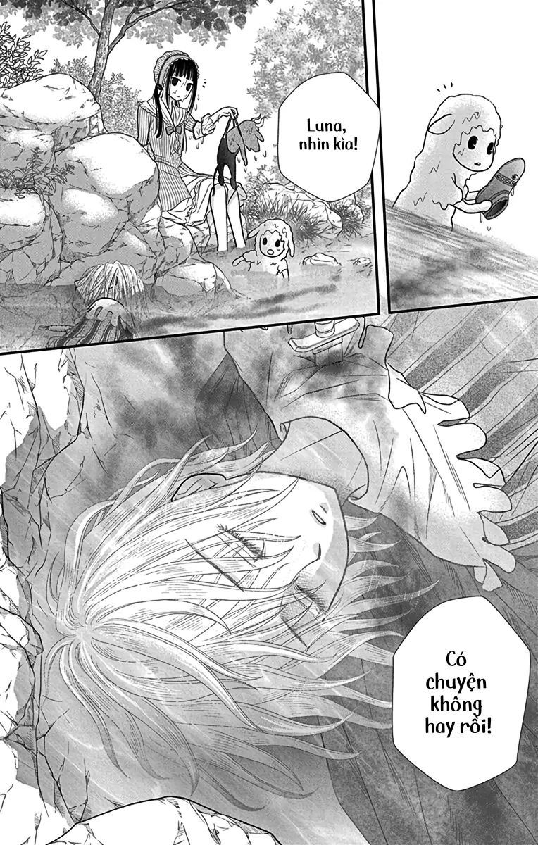 Champignon No Majo Chapter 4 - Next Chapter 4.5