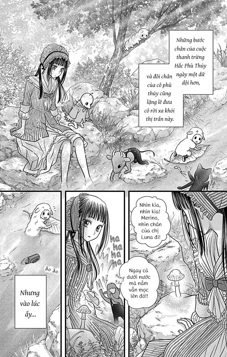 Champignon No Majo Chapter 4 - Next Chapter 4.5