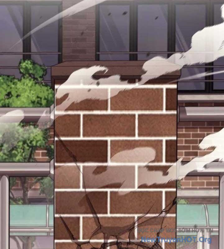 Cuộc Sống Học Đường Của Đội Trưởng Quận Chapter 28 - Next Chapter 29