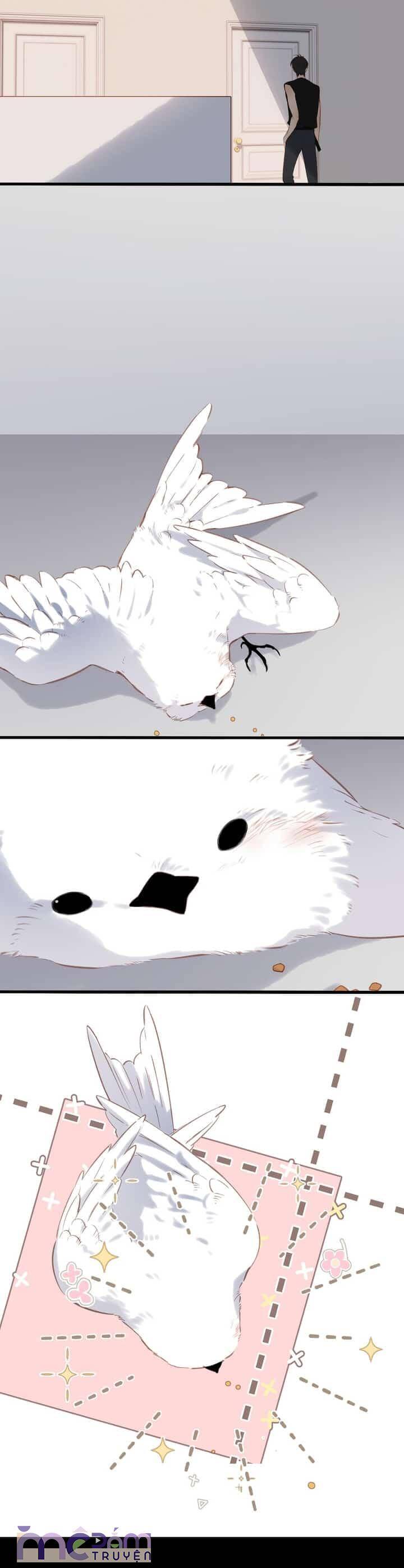 Dã Thú Khi Yêu Chapter 33 - Trang 2