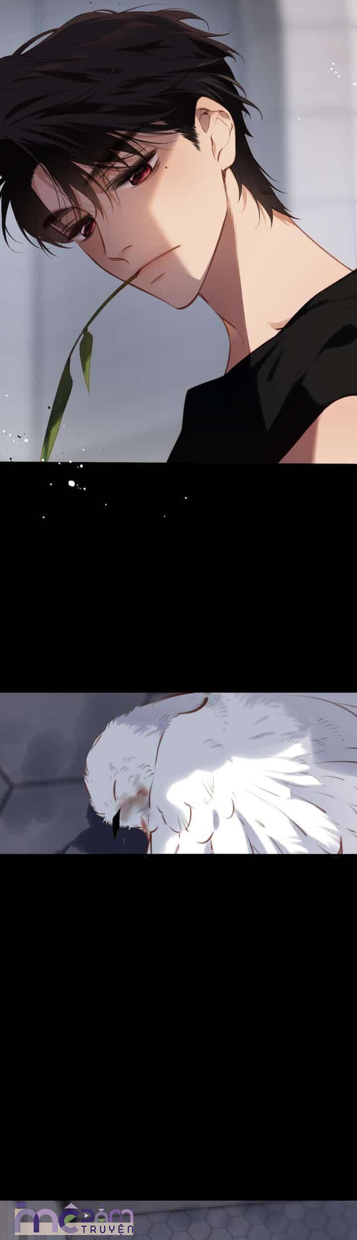 Dã Thú Khi Yêu Chapter 33 - Trang 2