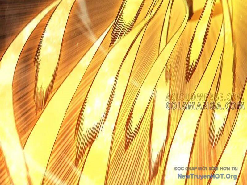 Vô Địch Bị Động Tạo Ra Tấn Sát Thương Chapter 97 - Trang 2