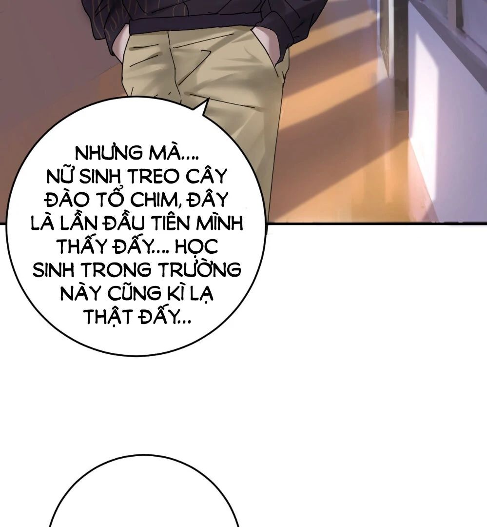 Khi Hoa Đen Tuyền Nở Rộ Chapter 3 - Trang 2