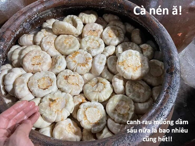 Hổ Đến Chơi Nhà (Puchimasu Miếu) Chapter 145 - Trang 2