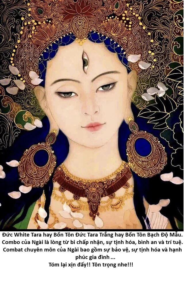 Hổ Đến Chơi Nhà (Puchimasu Miếu) Chapter 142 - Trang 2