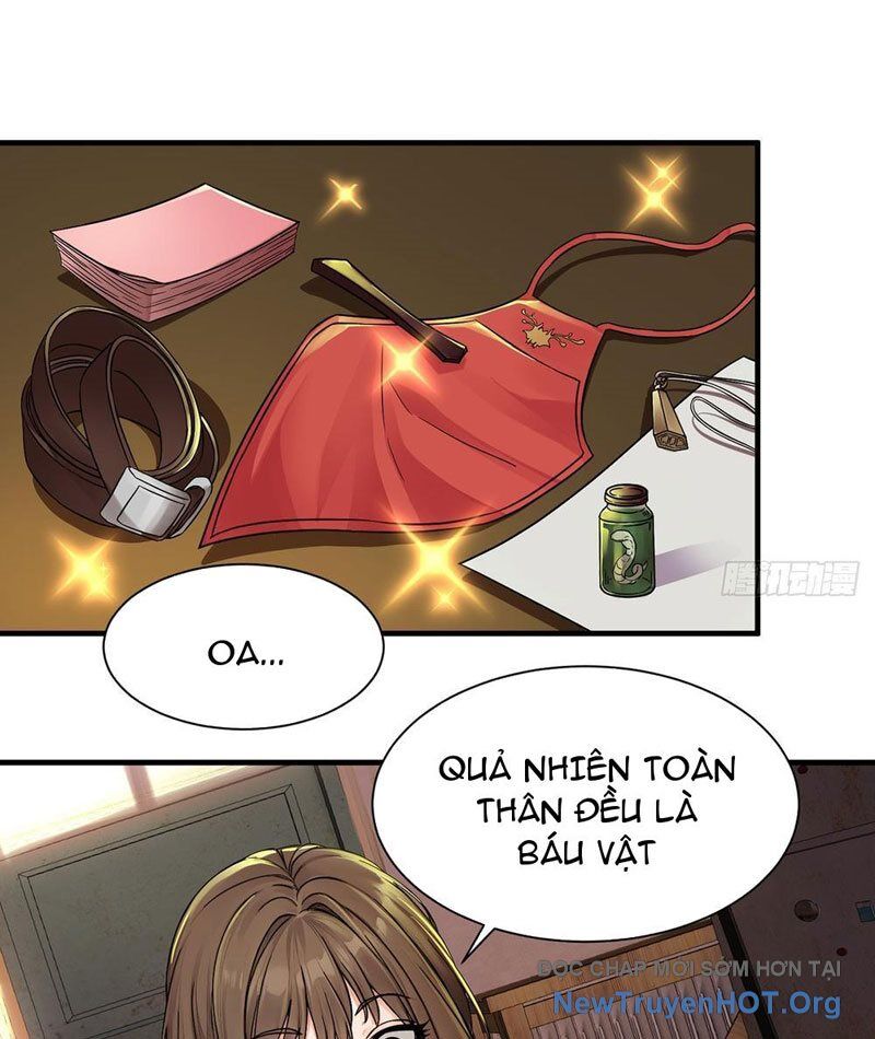 Chuyển Sinh Thành Tra Nam, Ta Giúp Thê Tử Trường Sinh Chapter 13 - Trang 2
