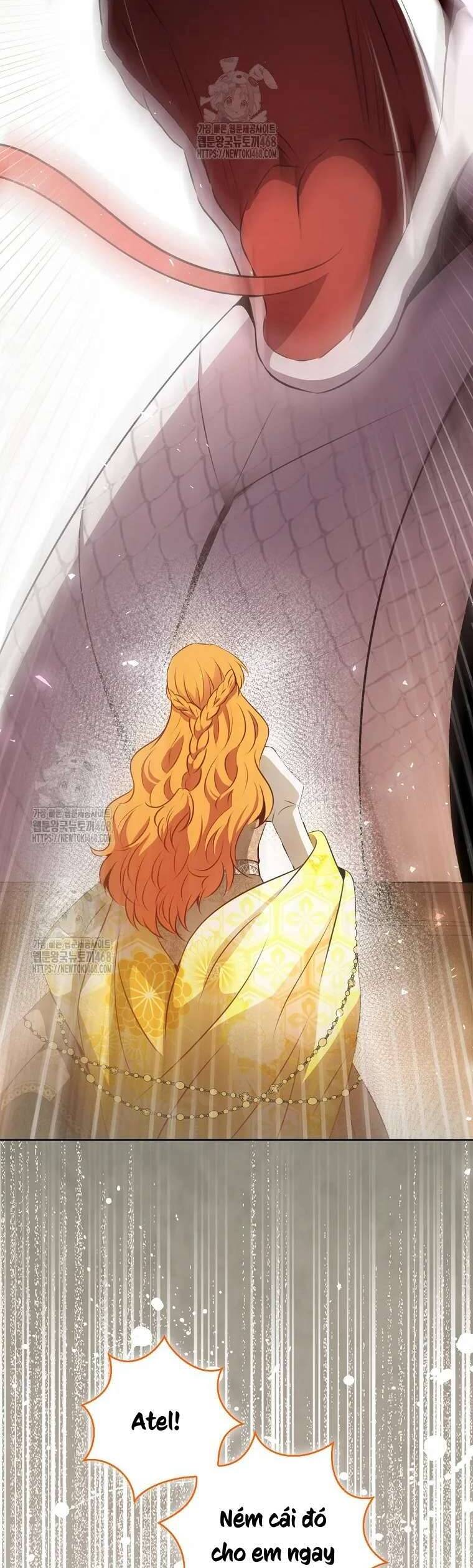 Sóc Nhỏ Tài Năng Chapter 117 - Trang 2